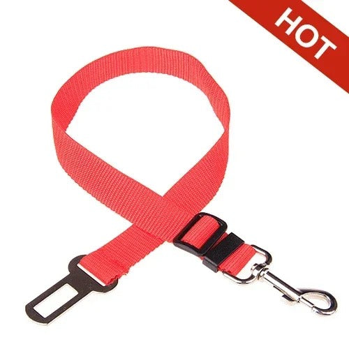 Snug Safety Strap