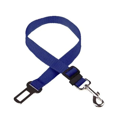 Snug Safety Strap