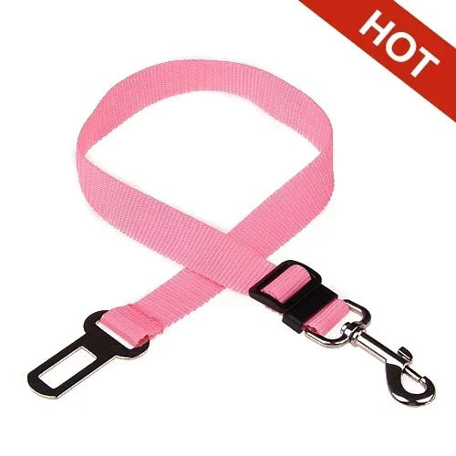 Snug Safety Strap