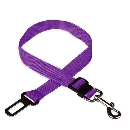 Snug Safety Strap