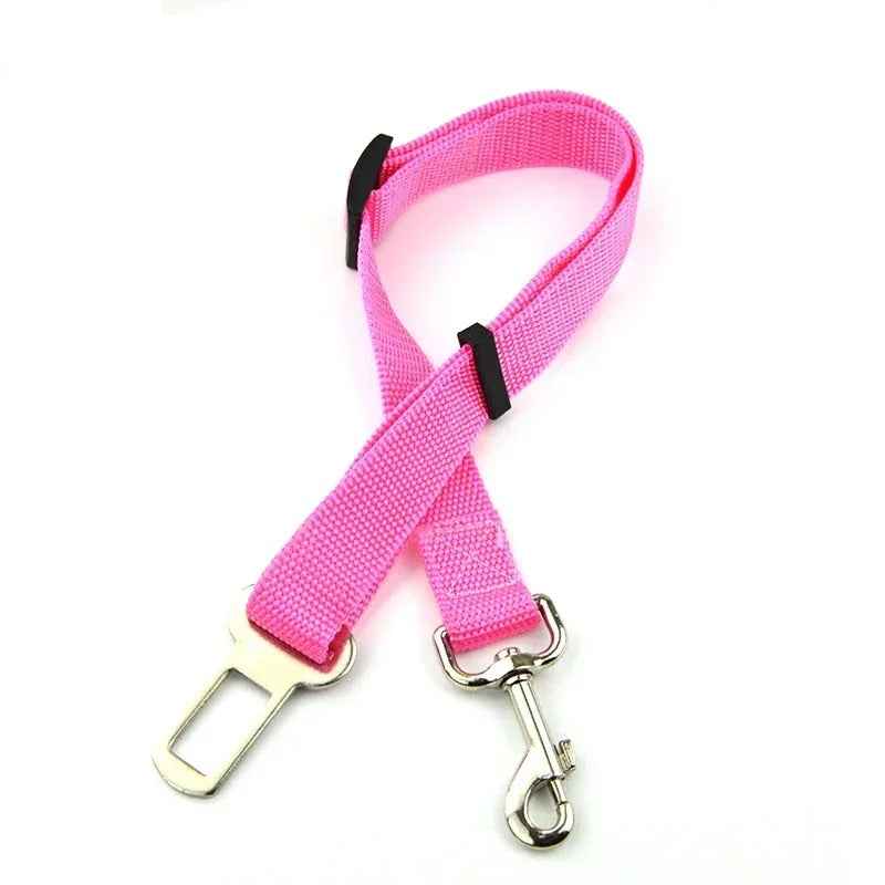 Snug Safety Strap